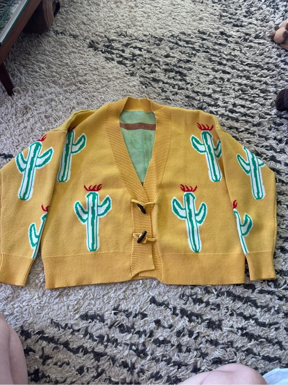 Matching Pet and Person cactus sweaters